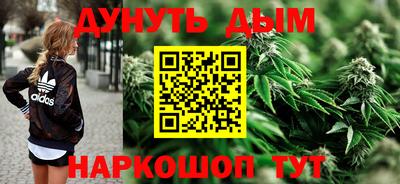 индика Лесосибирск