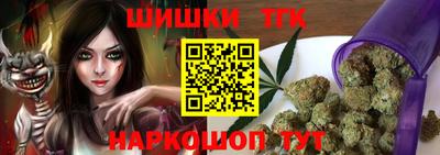 индика Лесосибирск