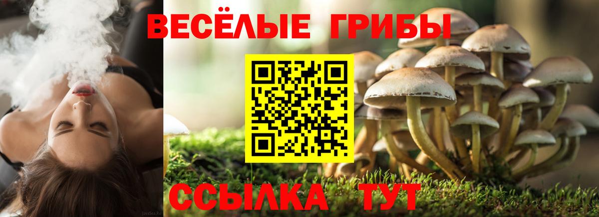 Галлюциногенные грибы прущие грибы  Галлюциногенные грибы ЛСД  что такое   Вход с VPN  Камышин 